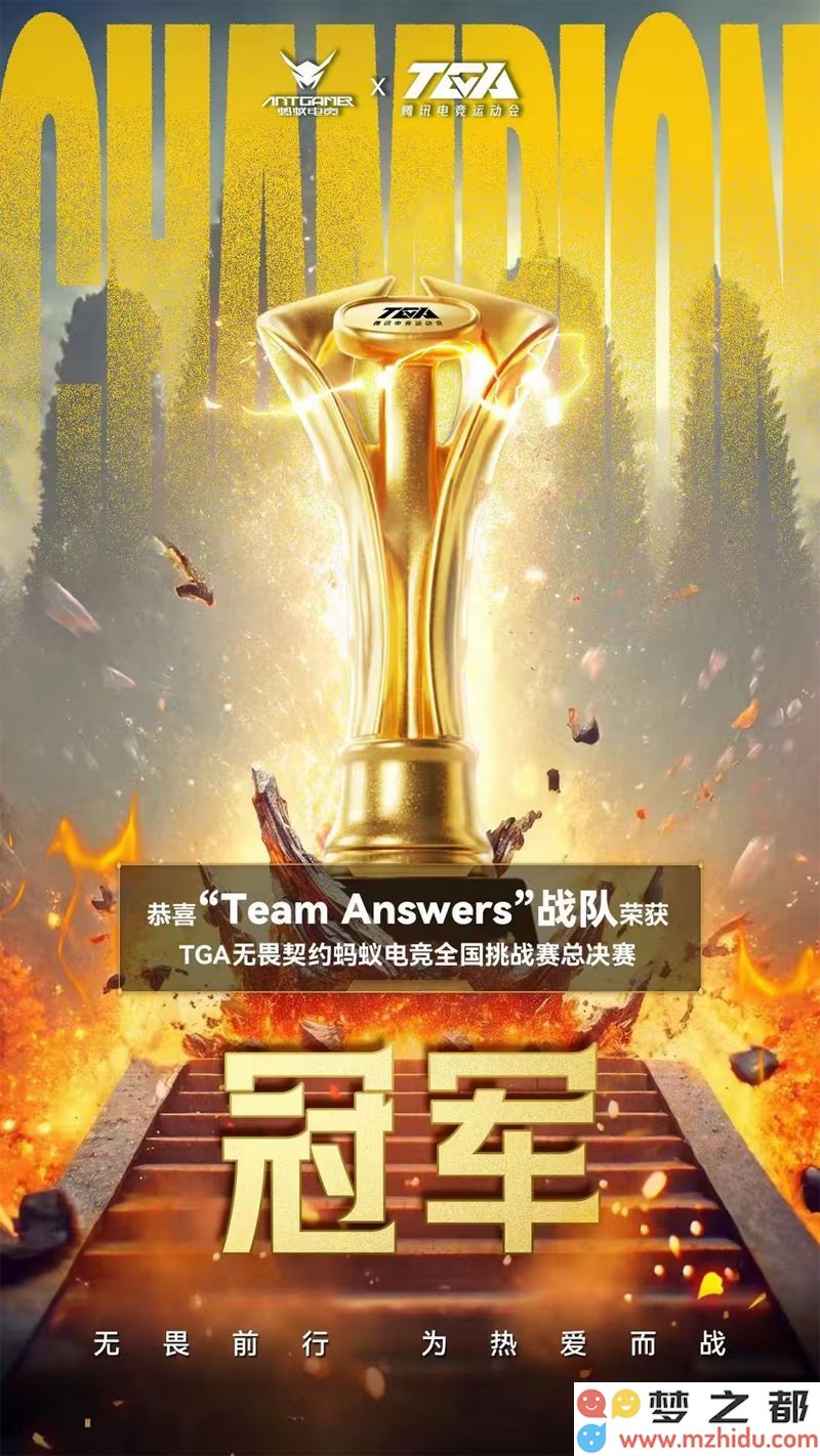 热烈祝贺“Team Answers”战队成功夺得TGA蚂蚁电竞全国挑战赛的冠军荣誉！