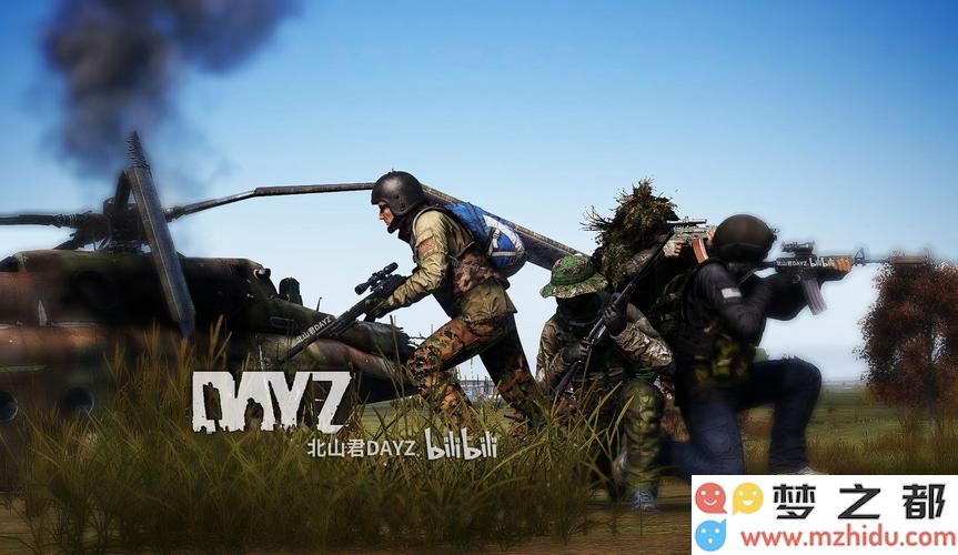 DayZ独立版黑白屏详解与解决策略指南